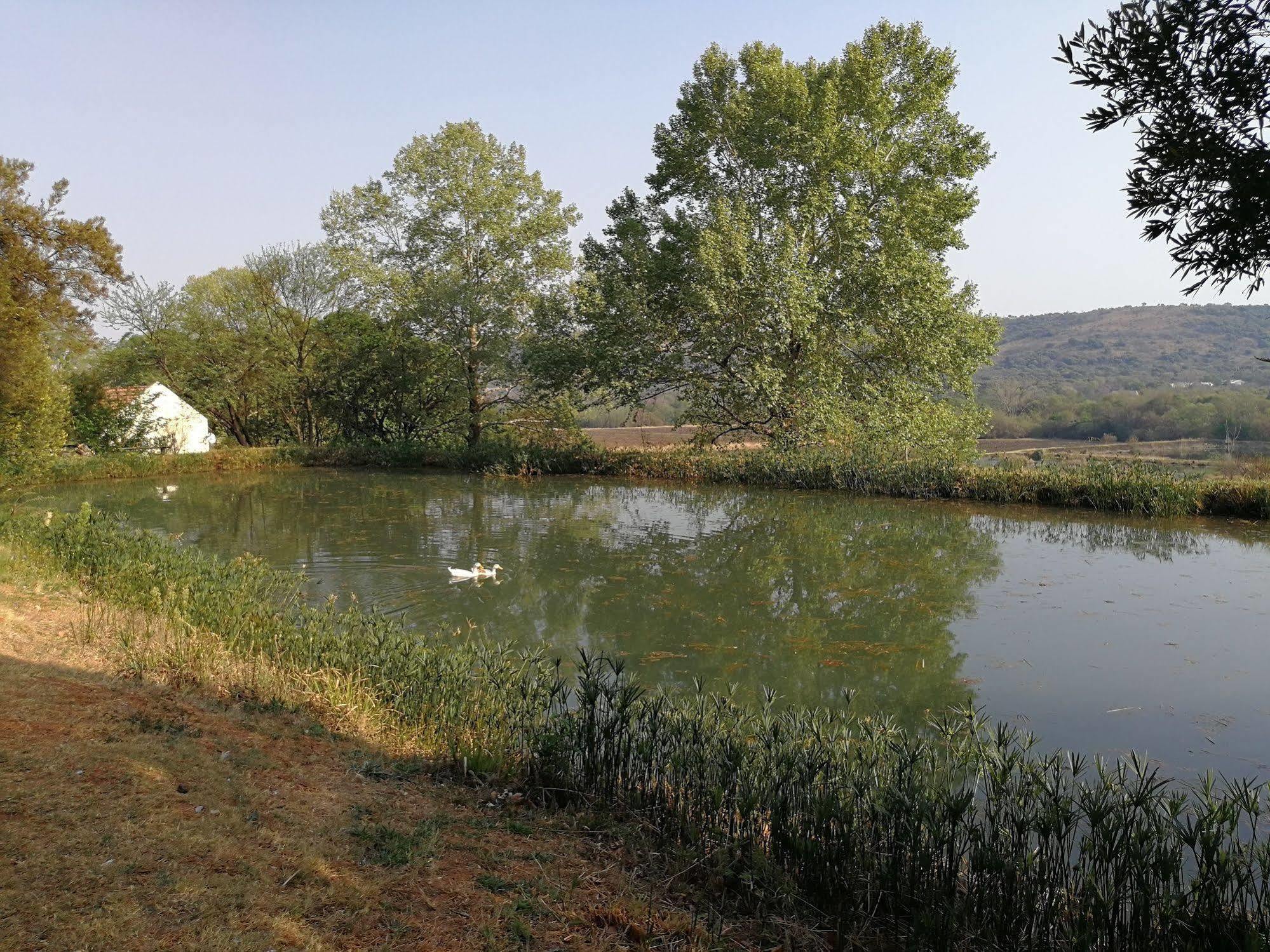 Budmarsh Country Lodge Магалисбург Экстерьер фото